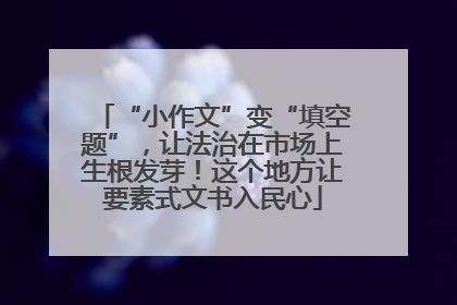 “小作文”变“填空题”，让法治在市场上生根发芽！这个地方让要素式文书入民心
